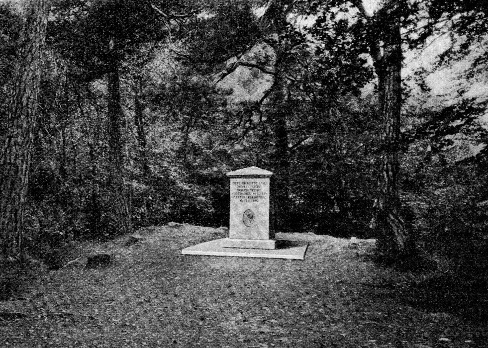 Gottfried Keller-Denkstein bei der Ruine Manegg, e-pics